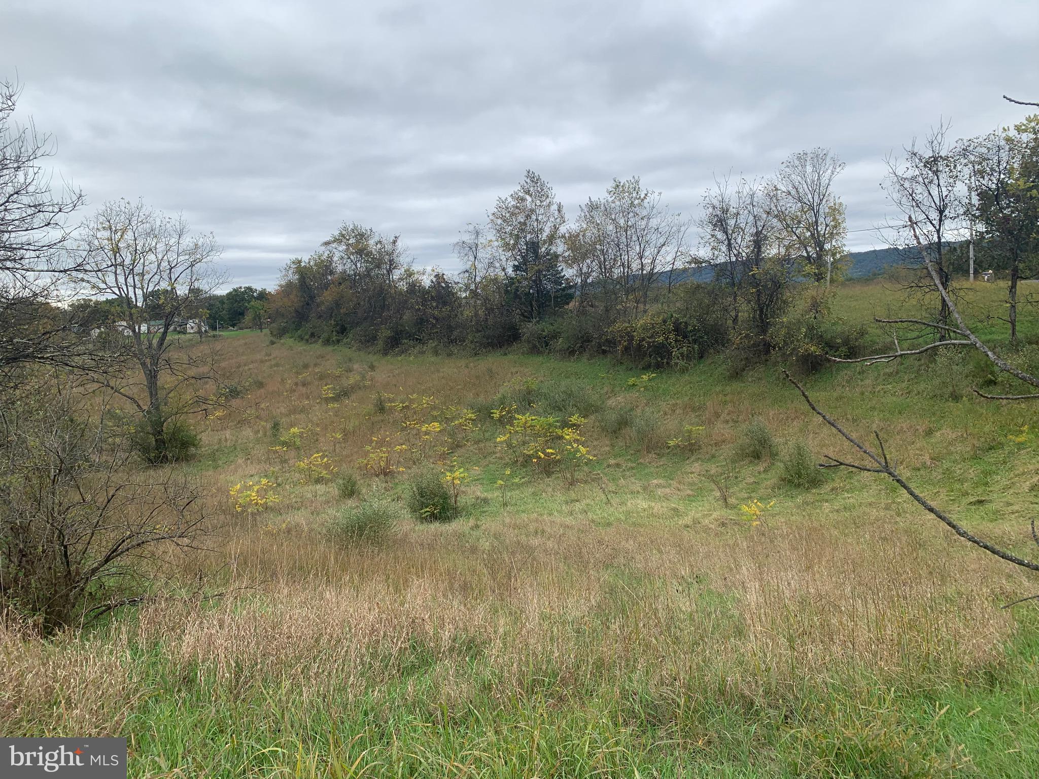 Black Oak Road Warfordsburg, PA 17267 - Photo 15 of 20