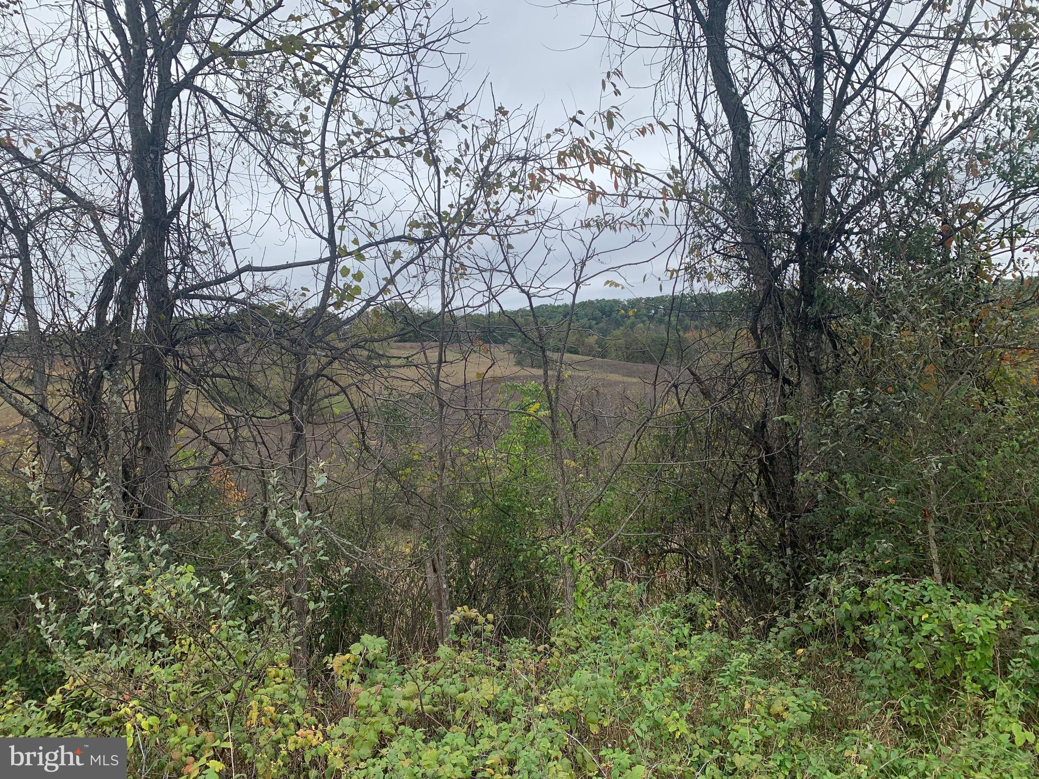 Black Oak Road Warfordsburg, PA 17267 - Photo 16 of 20