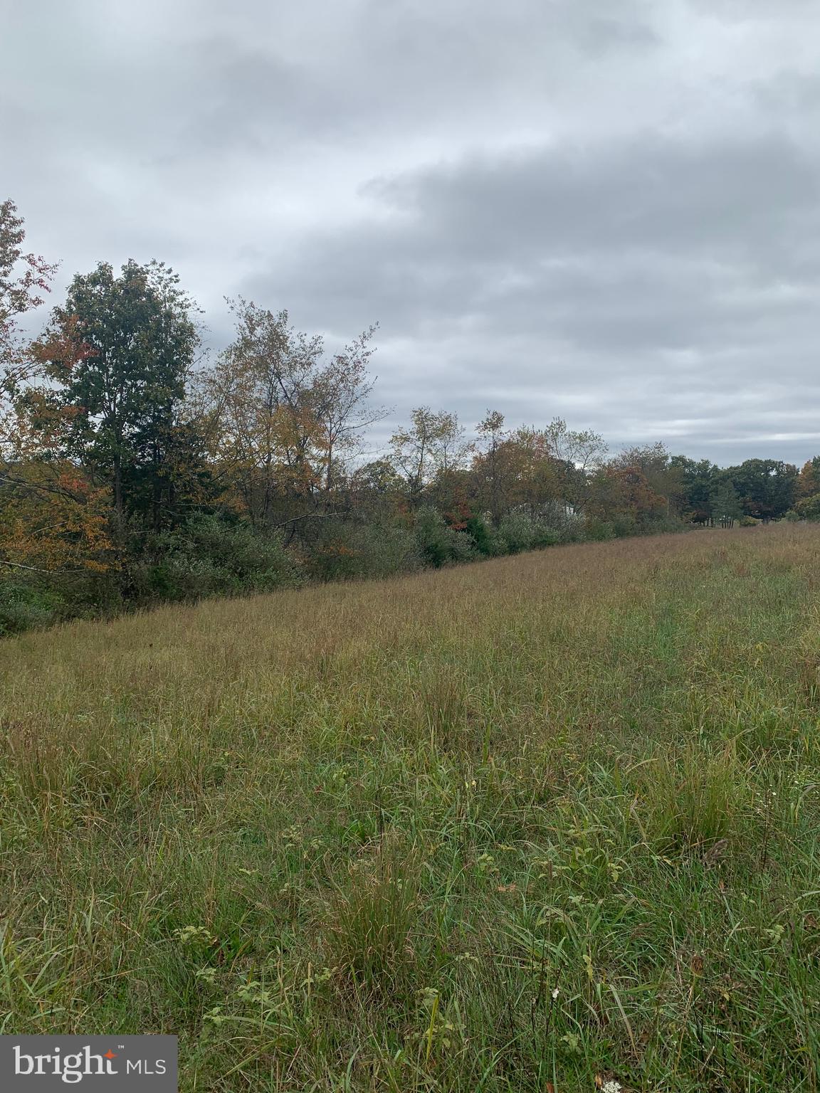 Black Oak Road Warfordsburg, PA 17267 - Photo 17 of 20