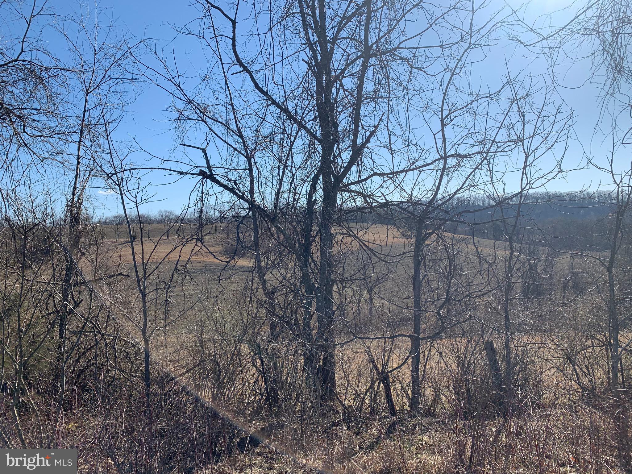 Black Oak Road Warfordsburg, PA 17267 - Photo 5 of 20