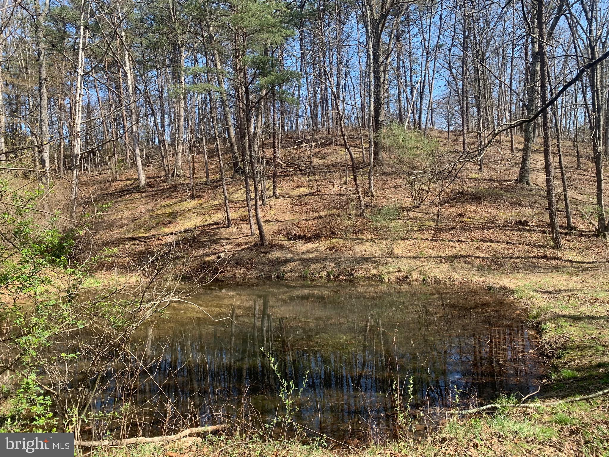 Black Oak Road Warfordsburg, PA 17267 - Photo 7 of 20