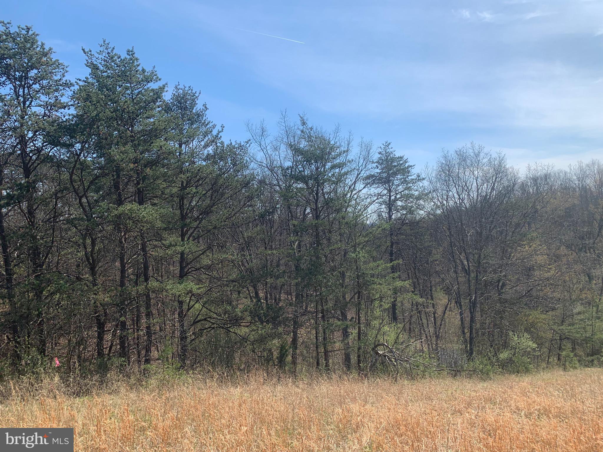 Black Oak Road Warfordsburg, PA 17267 - Photo 8 of 20