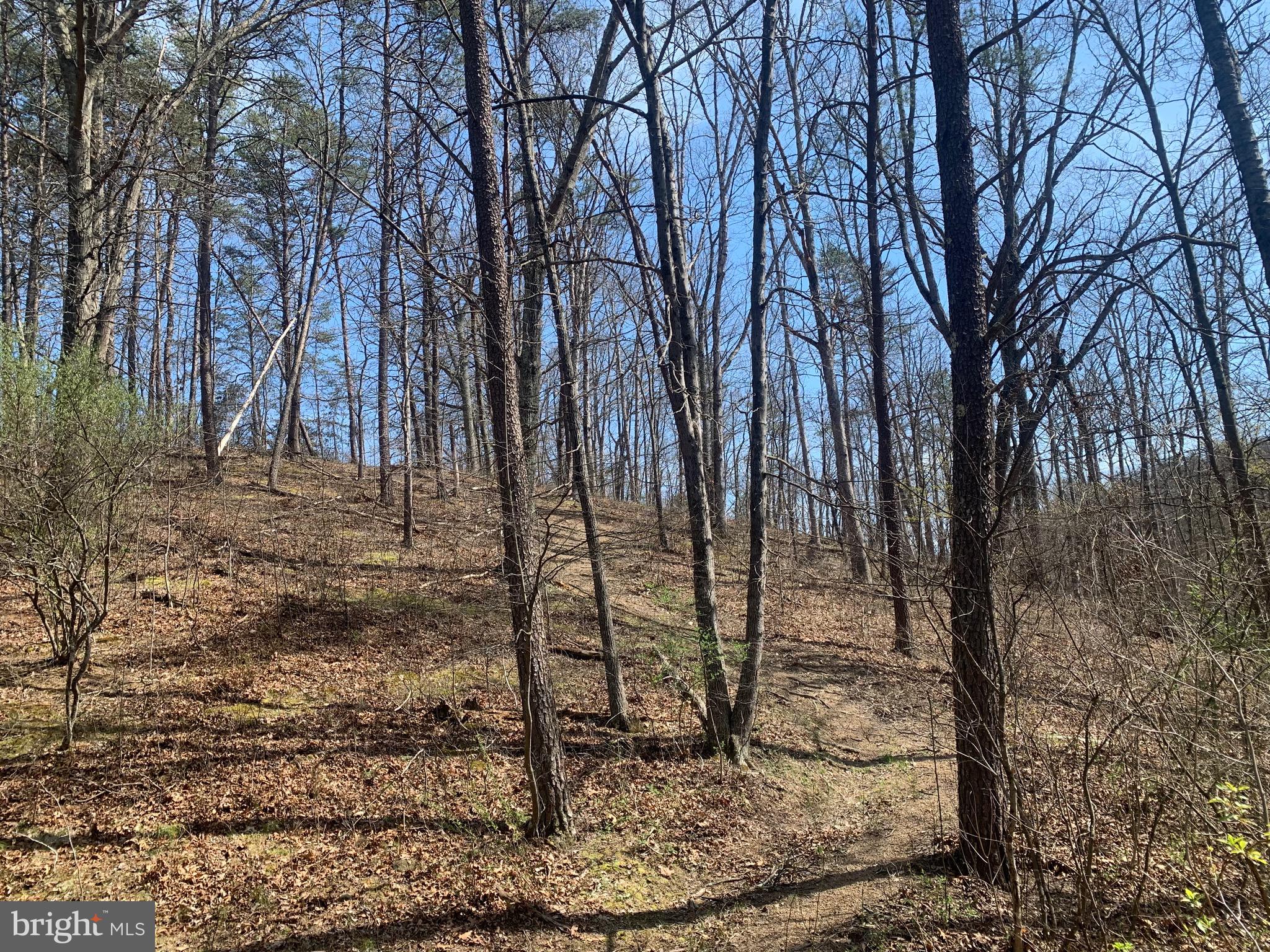 Black Oak Road Warfordsburg, PA 17267 - Photo 9 of 20