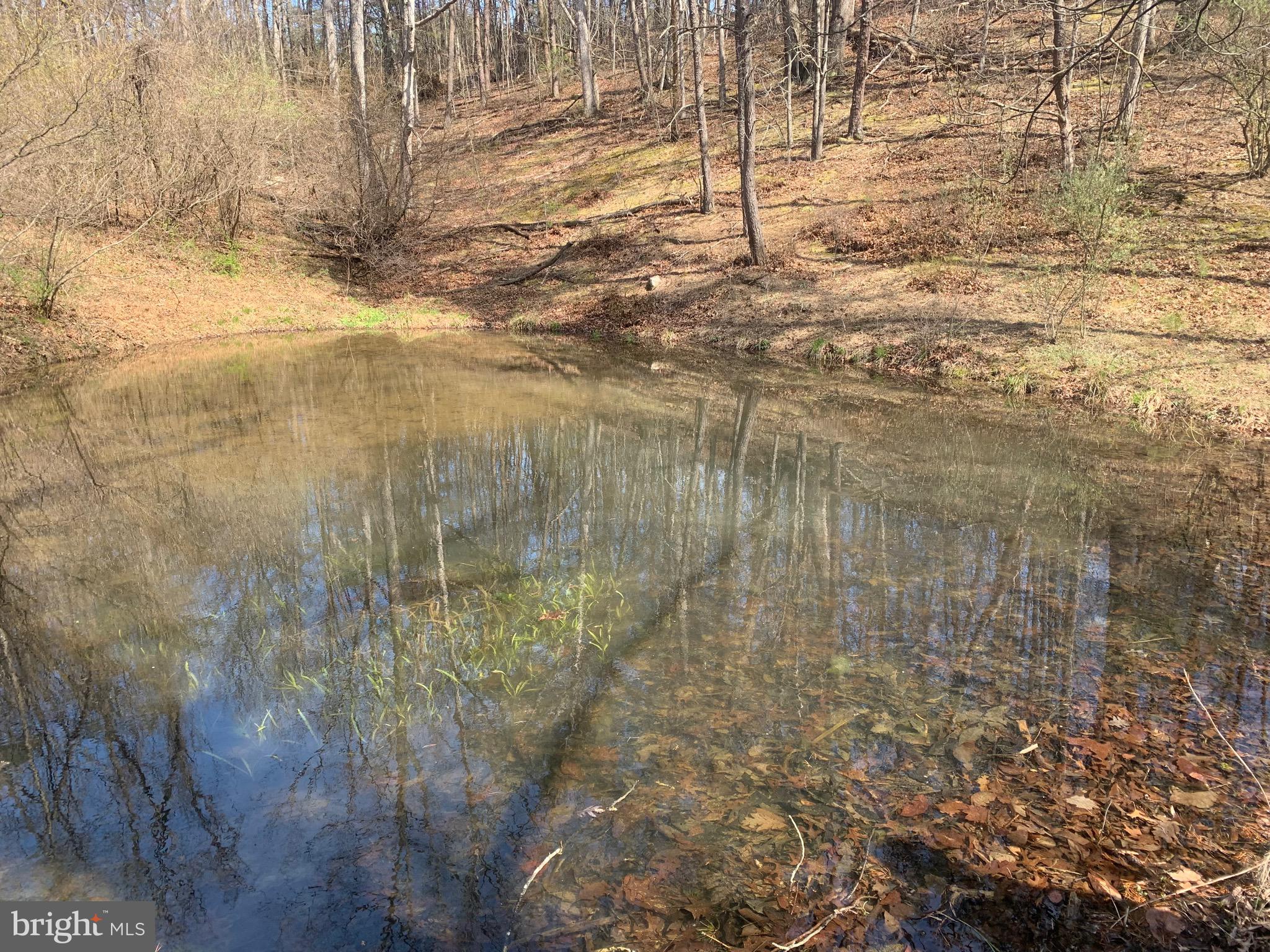 Black Oak Road Warfordsburg, PA 17267 - Photo 10 of 20 Pond