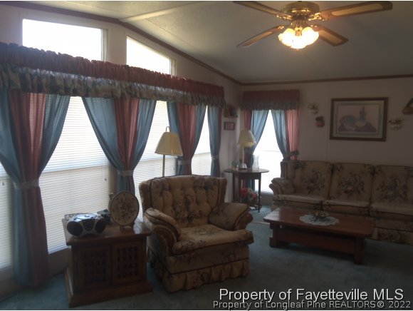 386 Gilchrist Road Cameron, NC 28326 - Photo 15 of 19 Gallery Image 15