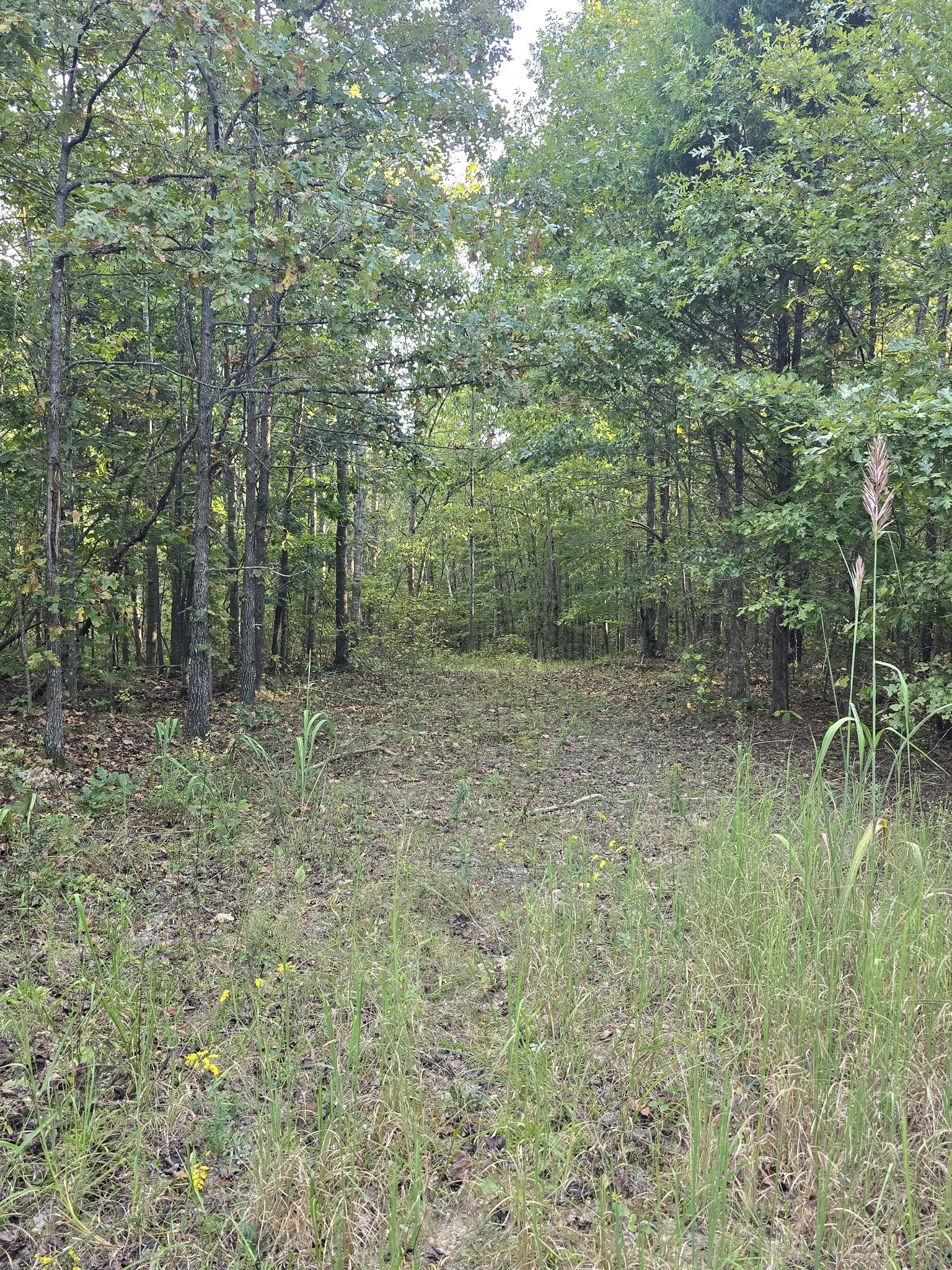 565 Landfill Road Waverly, TN 37185 - Photo 11 of 17 Gallery Image 11