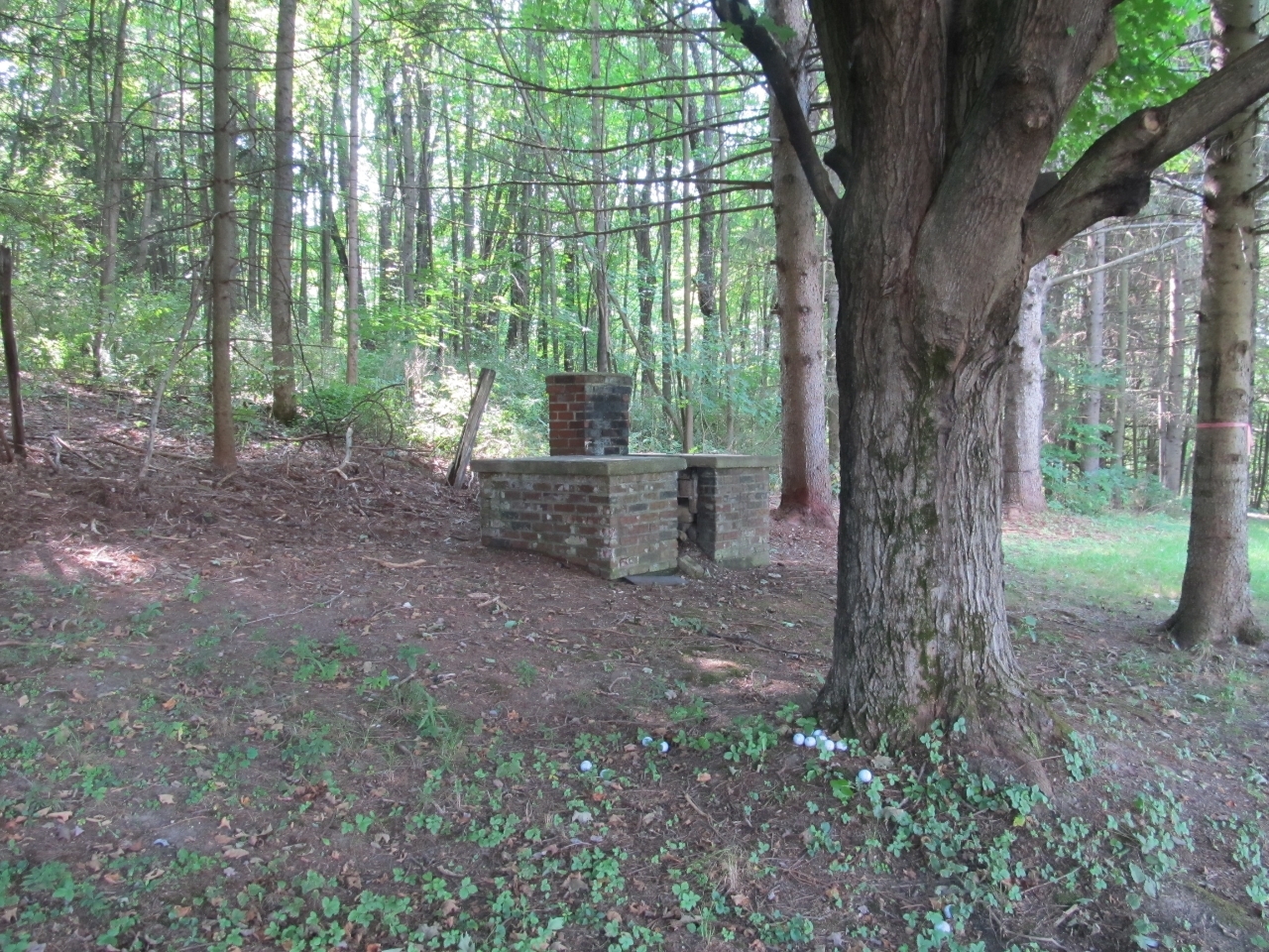 41 Albany Road West Stockbridge, MA 01266 - Photo 7 of 30 Back Yard Fireplace