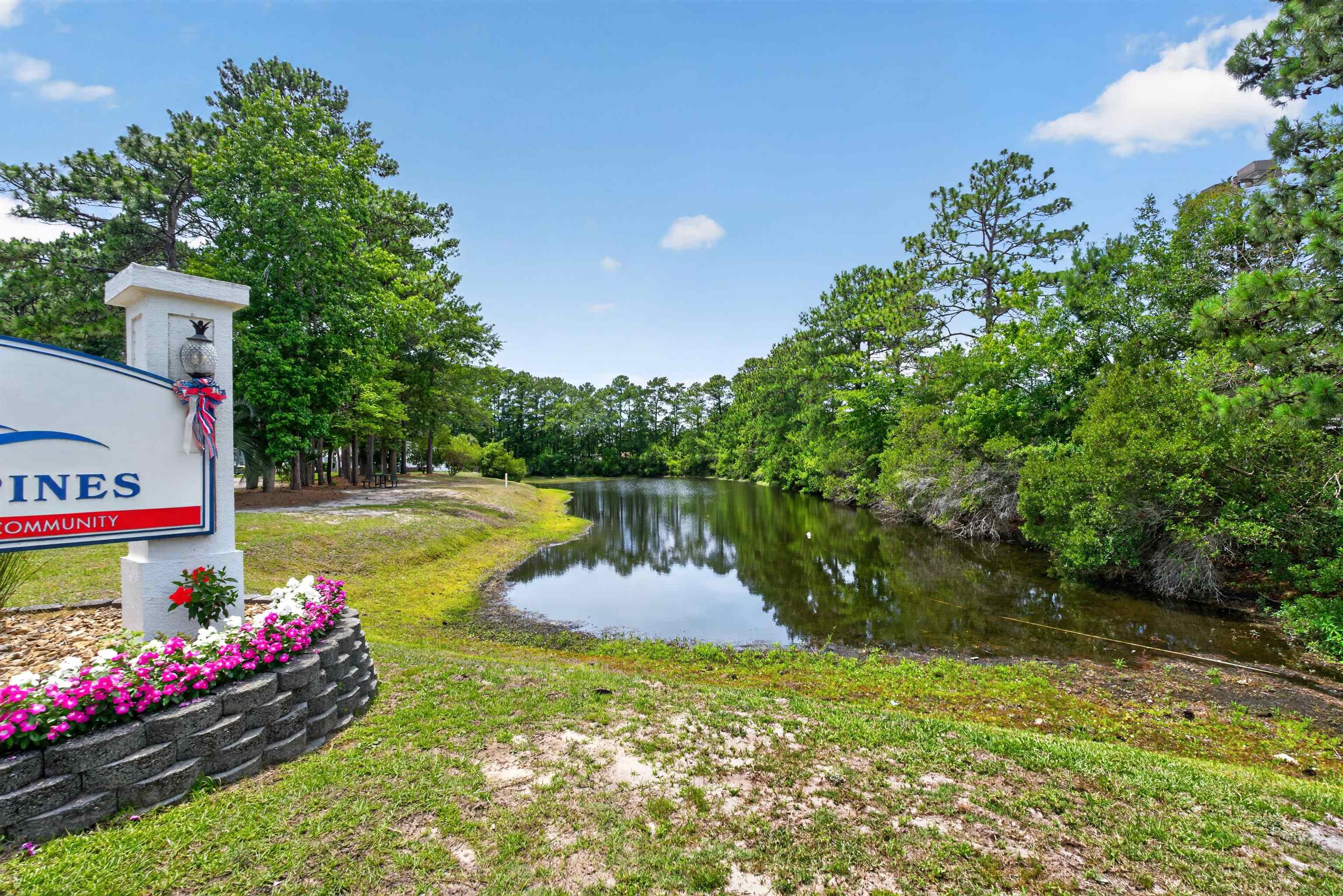 964 Winston Trail Murrells Inlet, SC 29576 - Photo 5 of 40