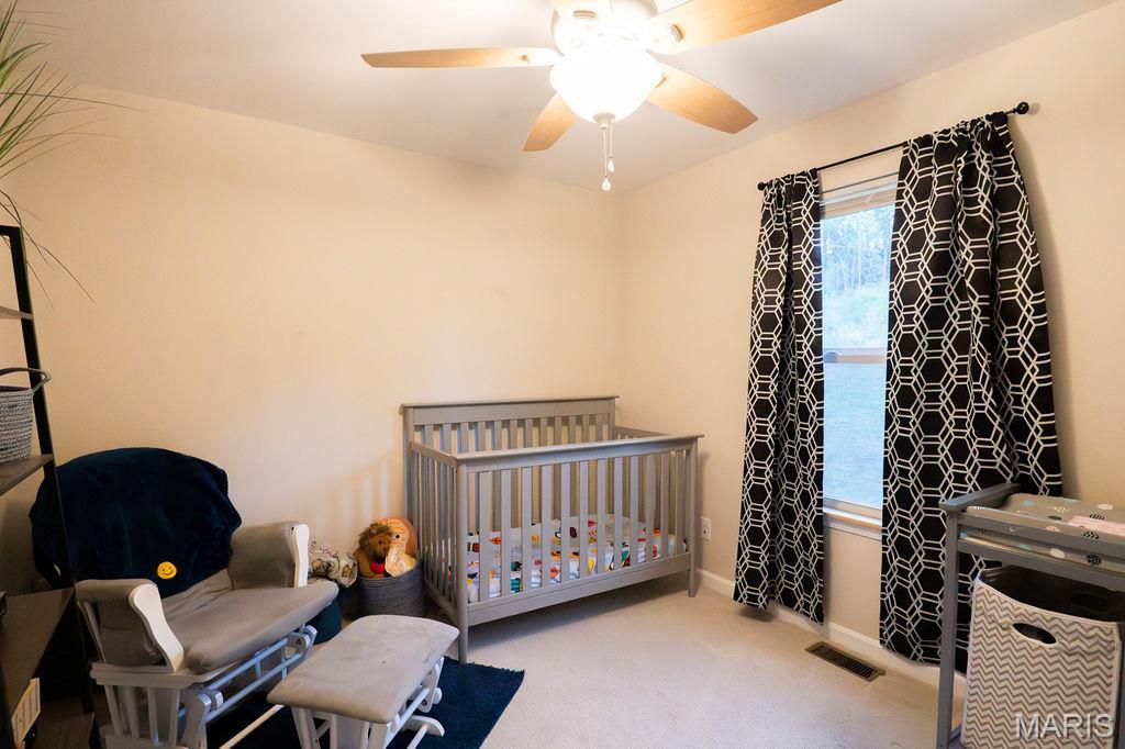 363 Moss Lane Farmington, MO 63640 - Photo 14 of 28