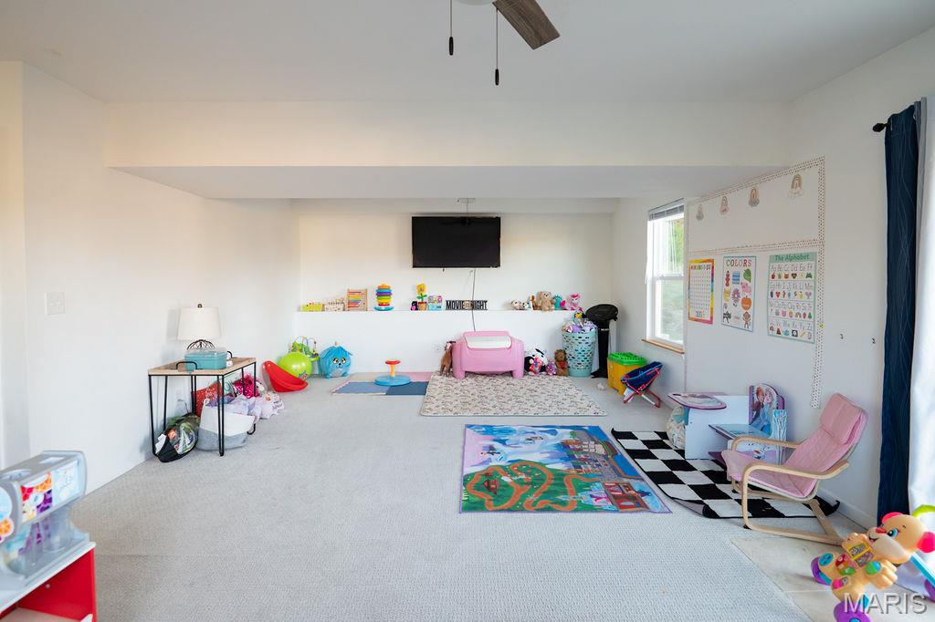 363 Moss Lane Farmington, MO 63640 - Photo 26 of 28