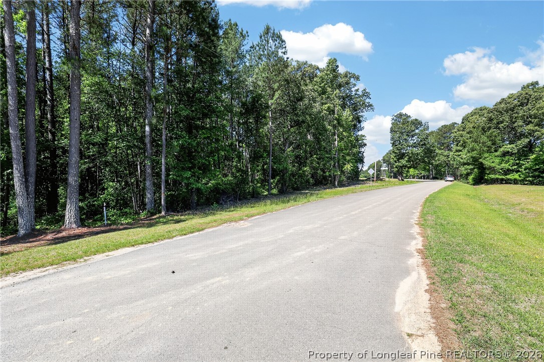 0 Fred Stone Road Sanford, NC 27332 - Photo 8 of 10