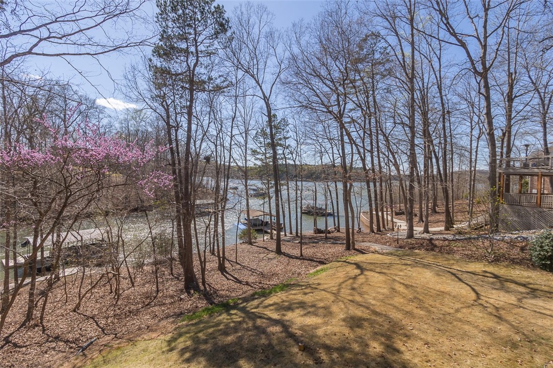 101 Reeder Point Road Fair Play, SC 29643 - Photo 3 of 47 Gallery Image 3