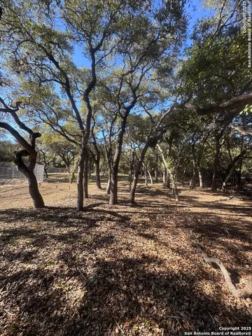 a big yard with lots of green space