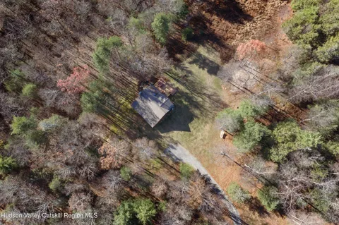 a view of a forest with trees