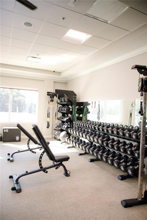 156 Bishopscourt Road Osprey, FL 34229 - Photo 78 of 84 a view of a room with gym equipment