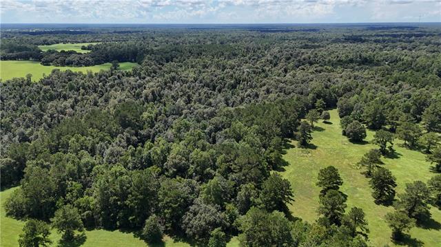 21258 Wallace King Road Bush, LA 70431 - Photo 2 of 17 Gallery Image 2