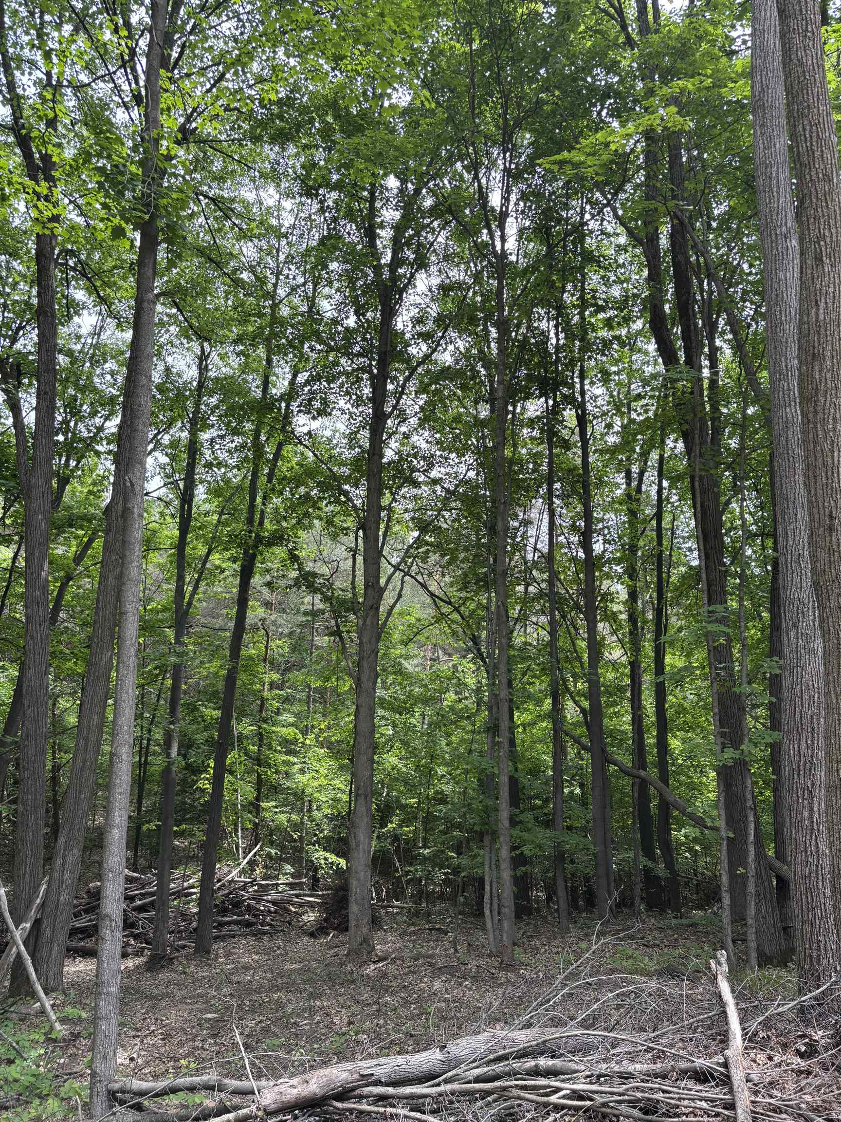 Parcel A North Parcel A N 45th Road Manton, MI 49663 - Photo 5 of 12