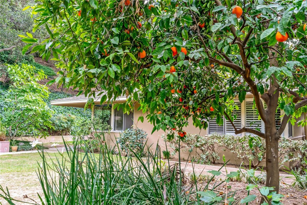 574 South Chaparro Road Covina, CA 91724 - Photo 25 of 26