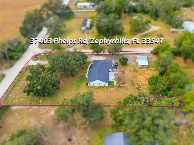 $595,000 | 37403 Phelps Road, Zephyrhills, FL 33541
