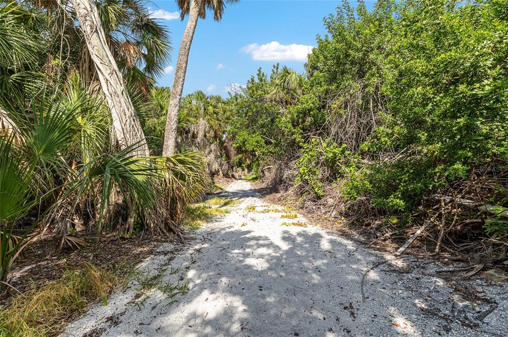 8178 Little Gasparilla Placida, FL 33946 - Photo 39 of 57 a view of a yard with plants and trees