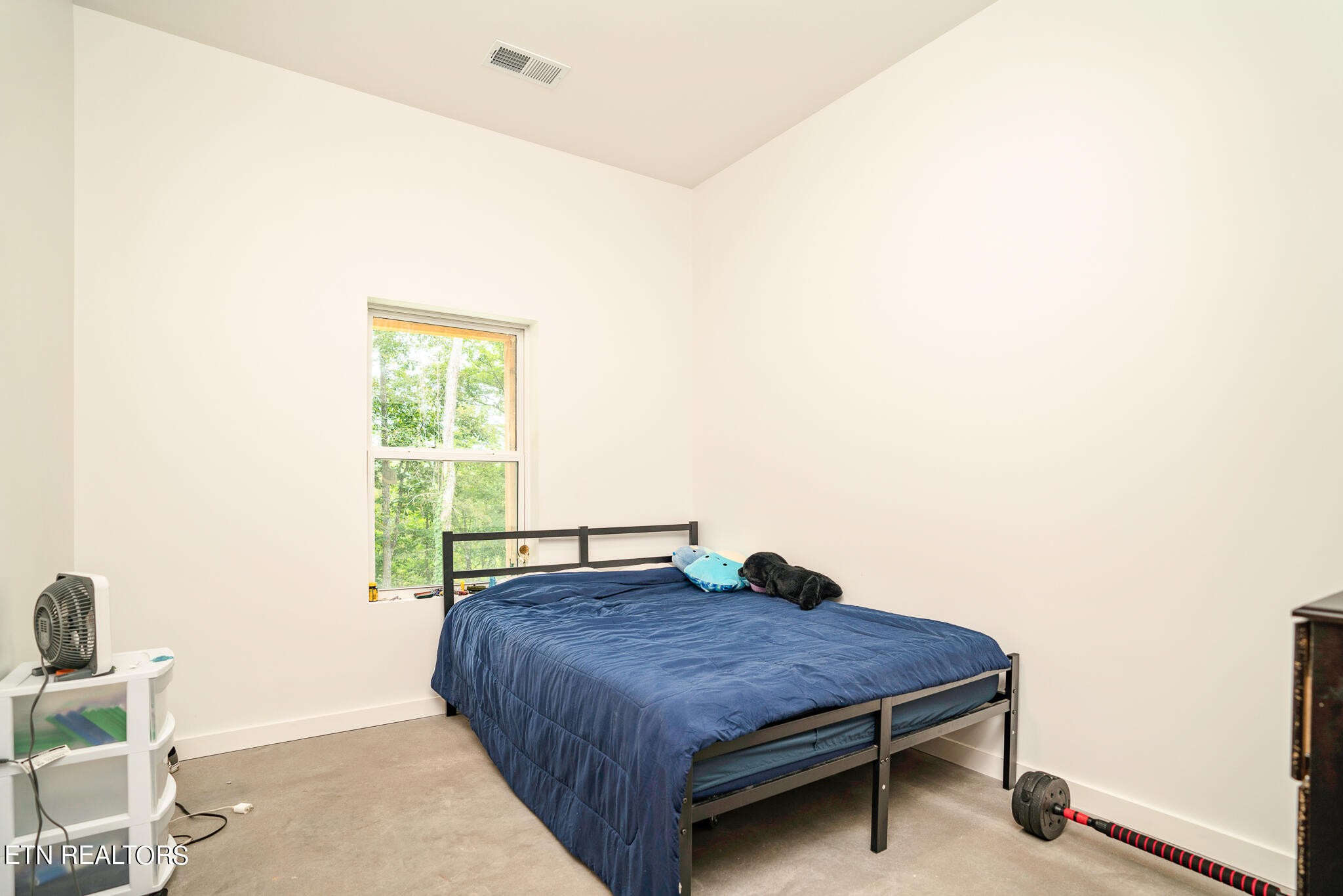 800 Bull Run Road Luttrell, TN 37779 - Photo 22 of 42 Gallery Image 22