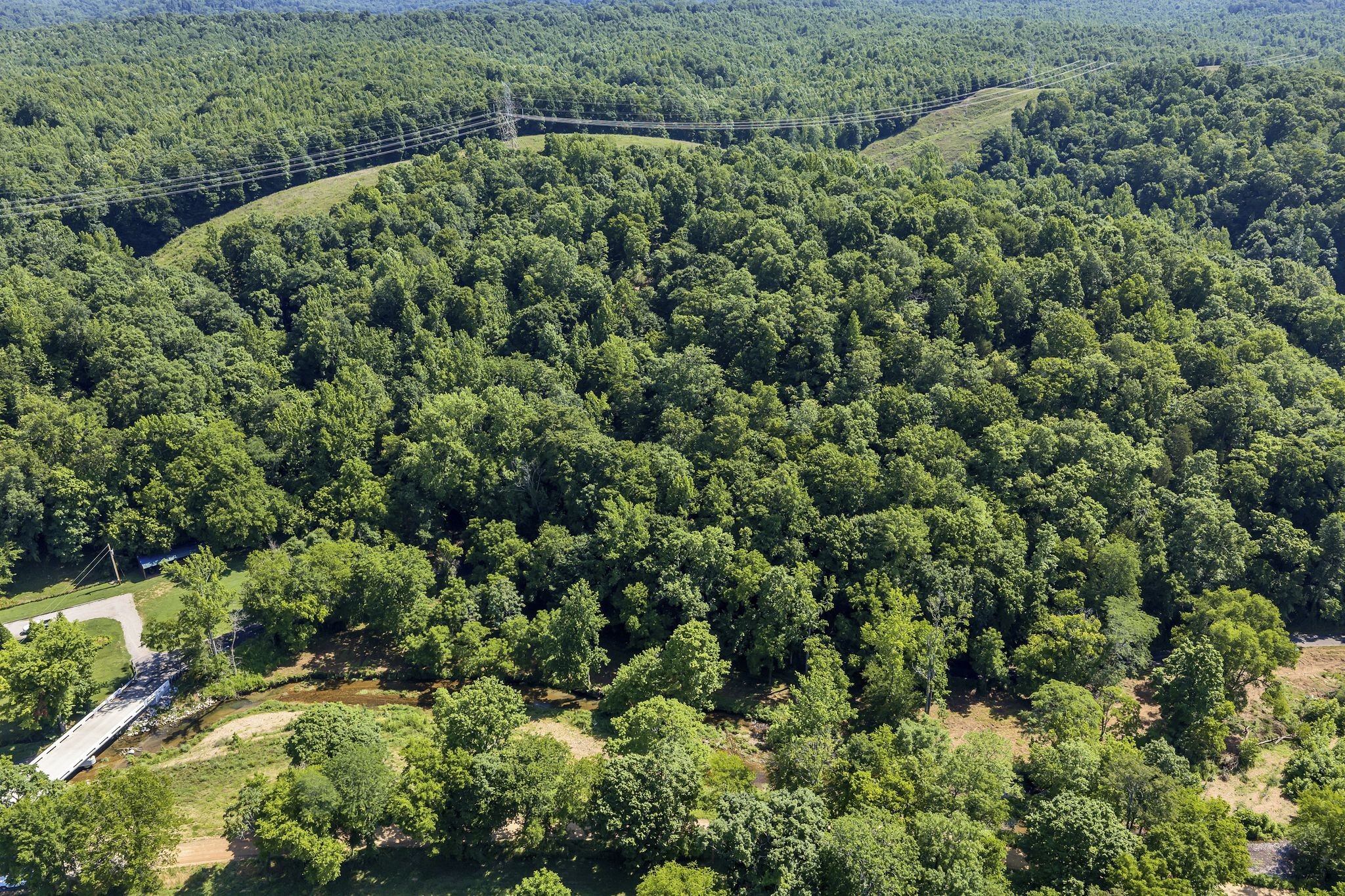 0 East Blue Creek Road McEwen, TN 37101 - Photo 9 of 17