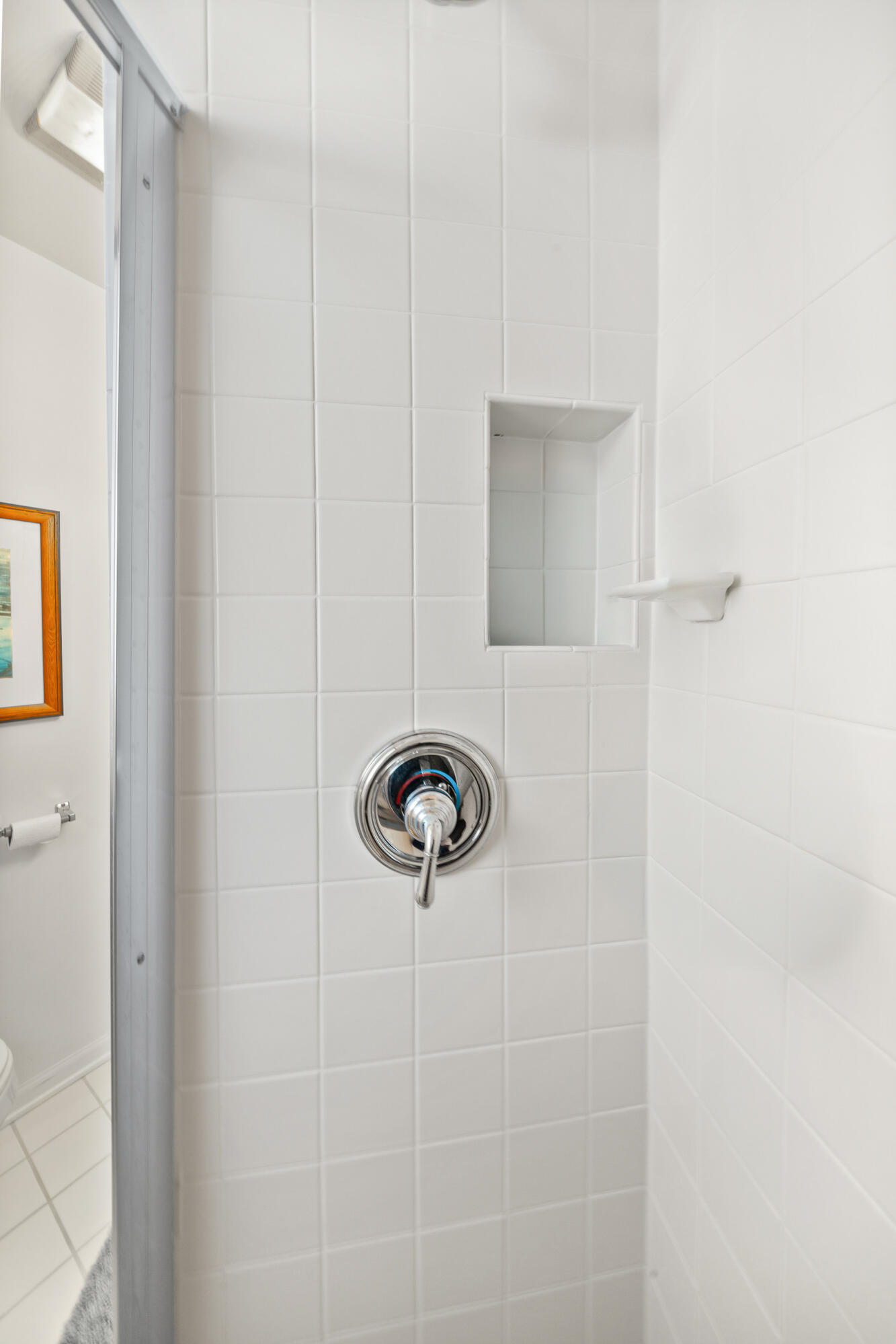 2304 North Shore Drive Delavan, WI 53115 - Photo 69 of 98 Shower Stall