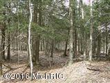 Nine Mile Bridge Road Wellston, MI 49689 - Photo 8 of 16 157065
