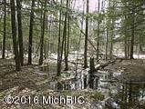 Nine Mile Bridge Road Wellston, MI 49689 - Photo 10 of 16 157065_02