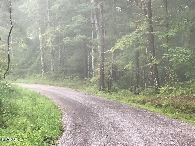 5-ac Chestnut Mountain Road Reliance, TN 37369 - Photo 3 of 9 Chestnut Mtn 15