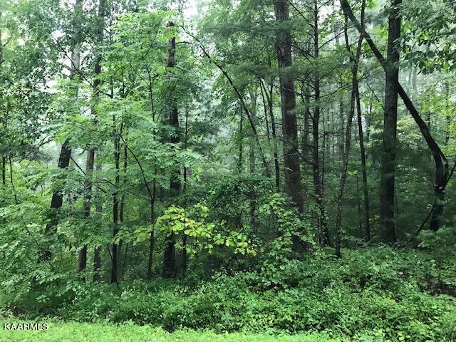5-ac Chestnut Mountain Road Reliance, TN 37369 - Photo 6 of 9 Chestnut Mtn 10