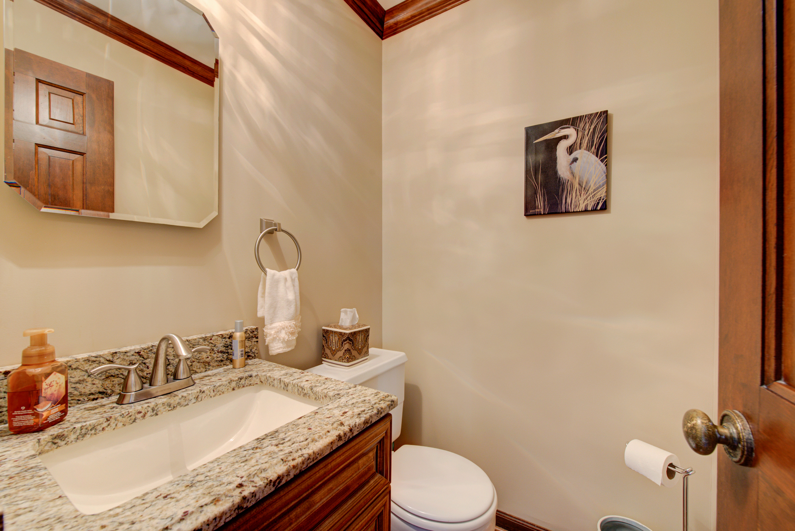 1710 Fender Road Naperville, IL 60565 - Photo 22 of 46 a bathroom with a granite countertop sink vanity mirror and toilet