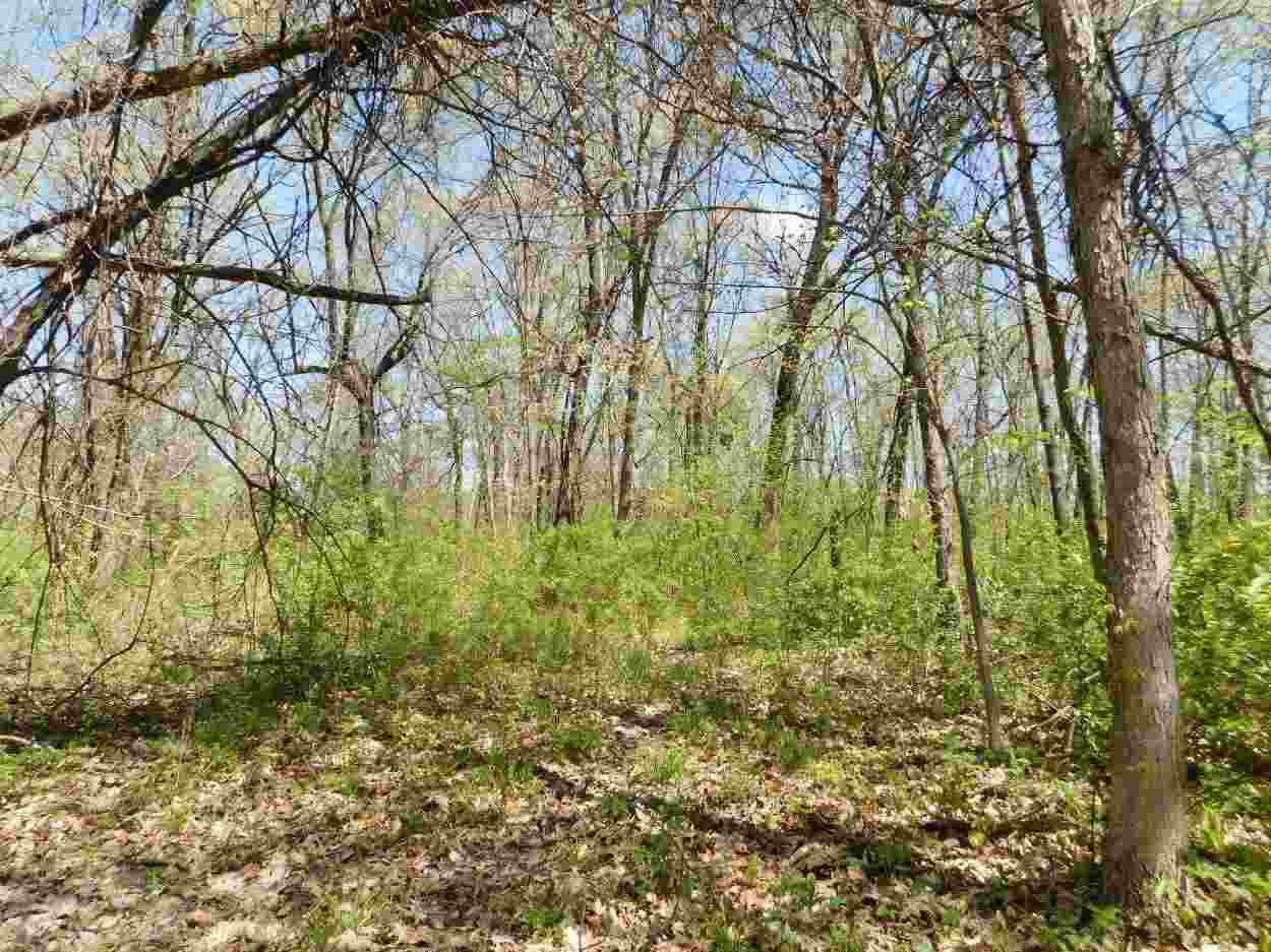 Tbd West Cording Road Galena, IL 61036 - Photo 12 of 15 Gallery Image 12