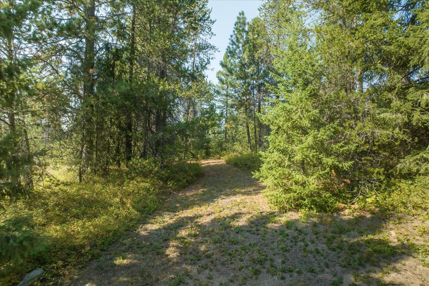 9832 Scotia Road Newport, WA 99156 - Photo 41 of 45