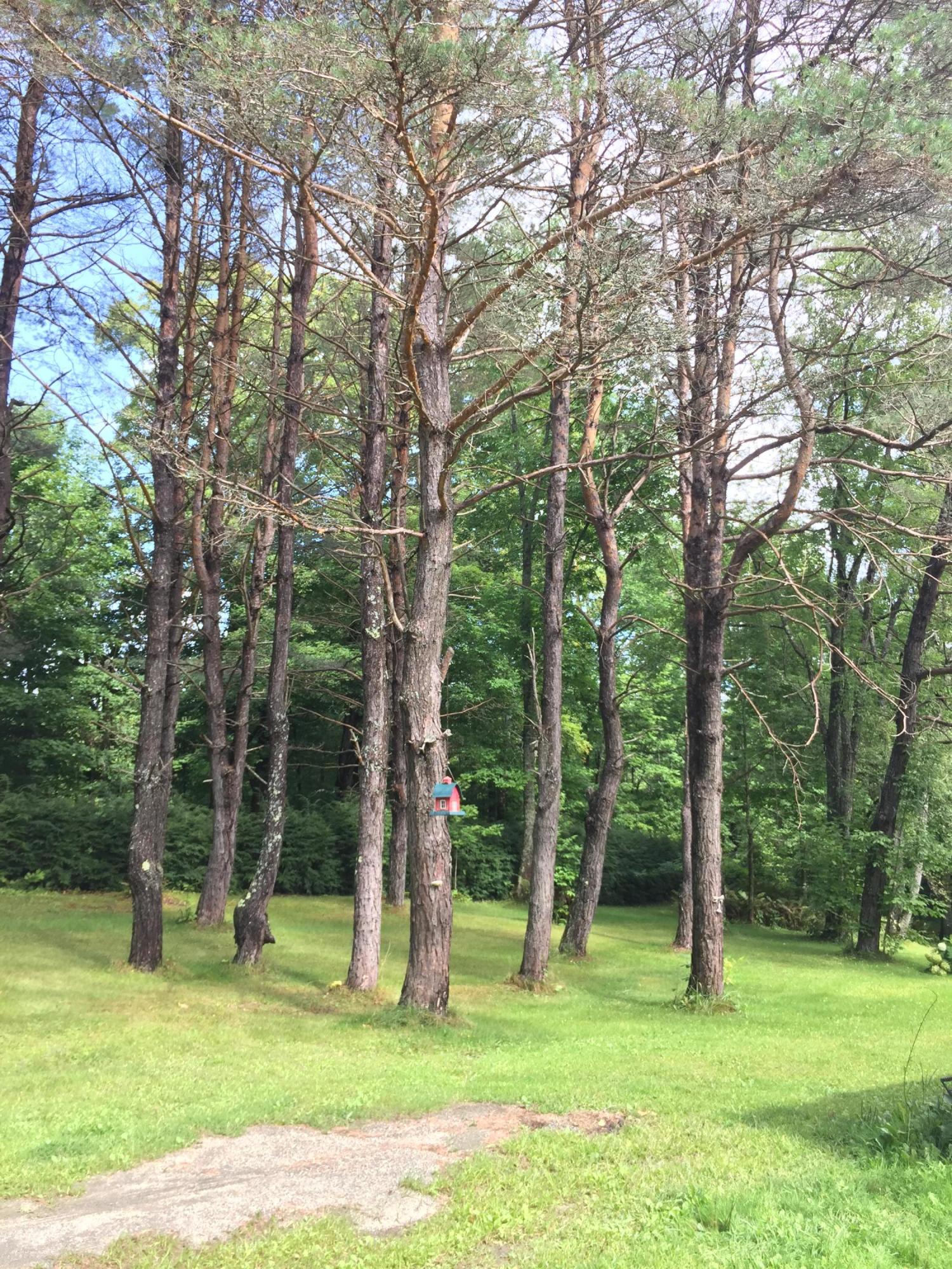 307 Drury Road Solon, ME 04979 - Photo 11 of 39 IMG-0281