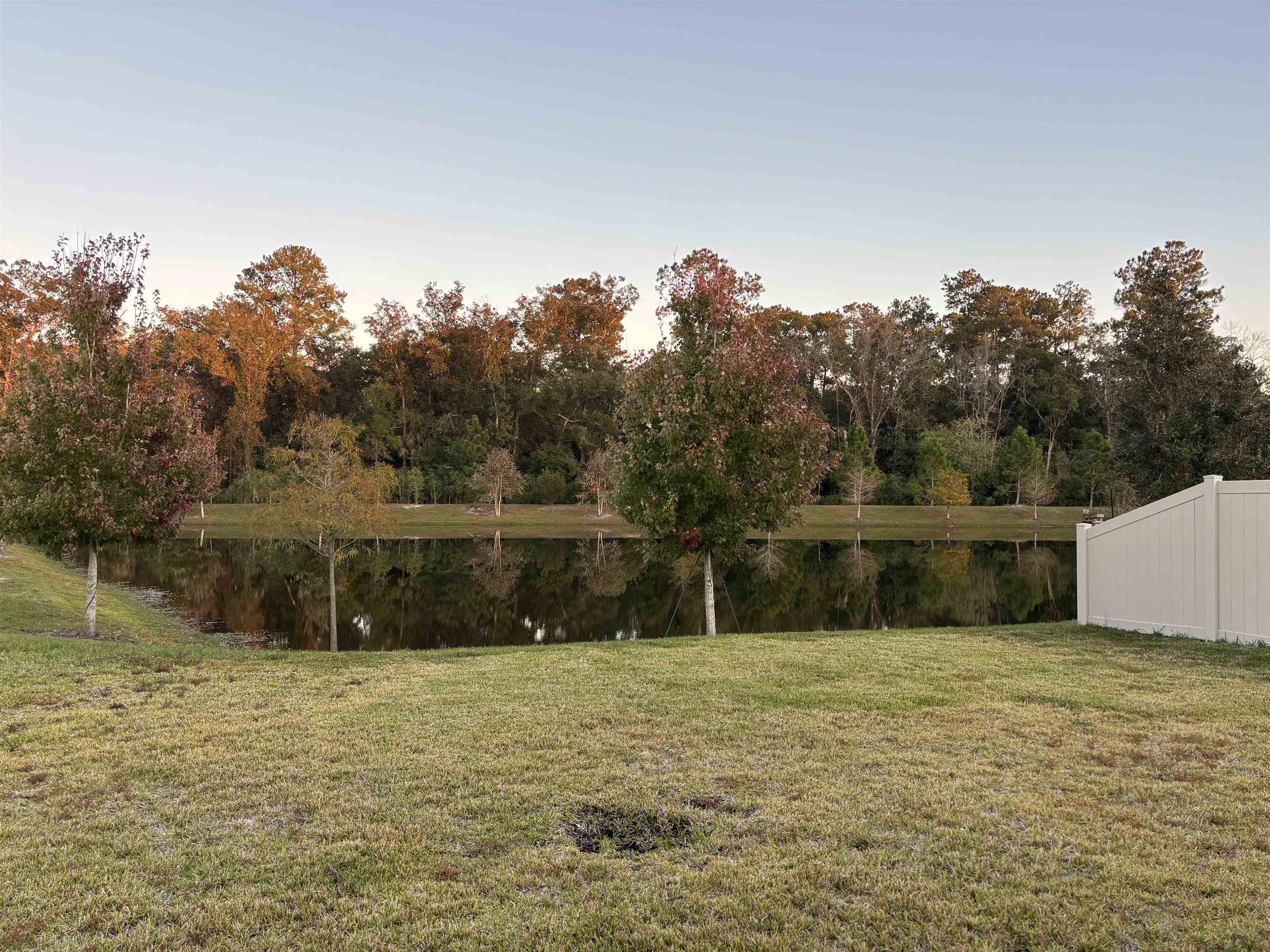 358 Rambling Brk Trail St. Johns, FL 32259 - Photo 28 of 39 a view of swimming pool with a yard