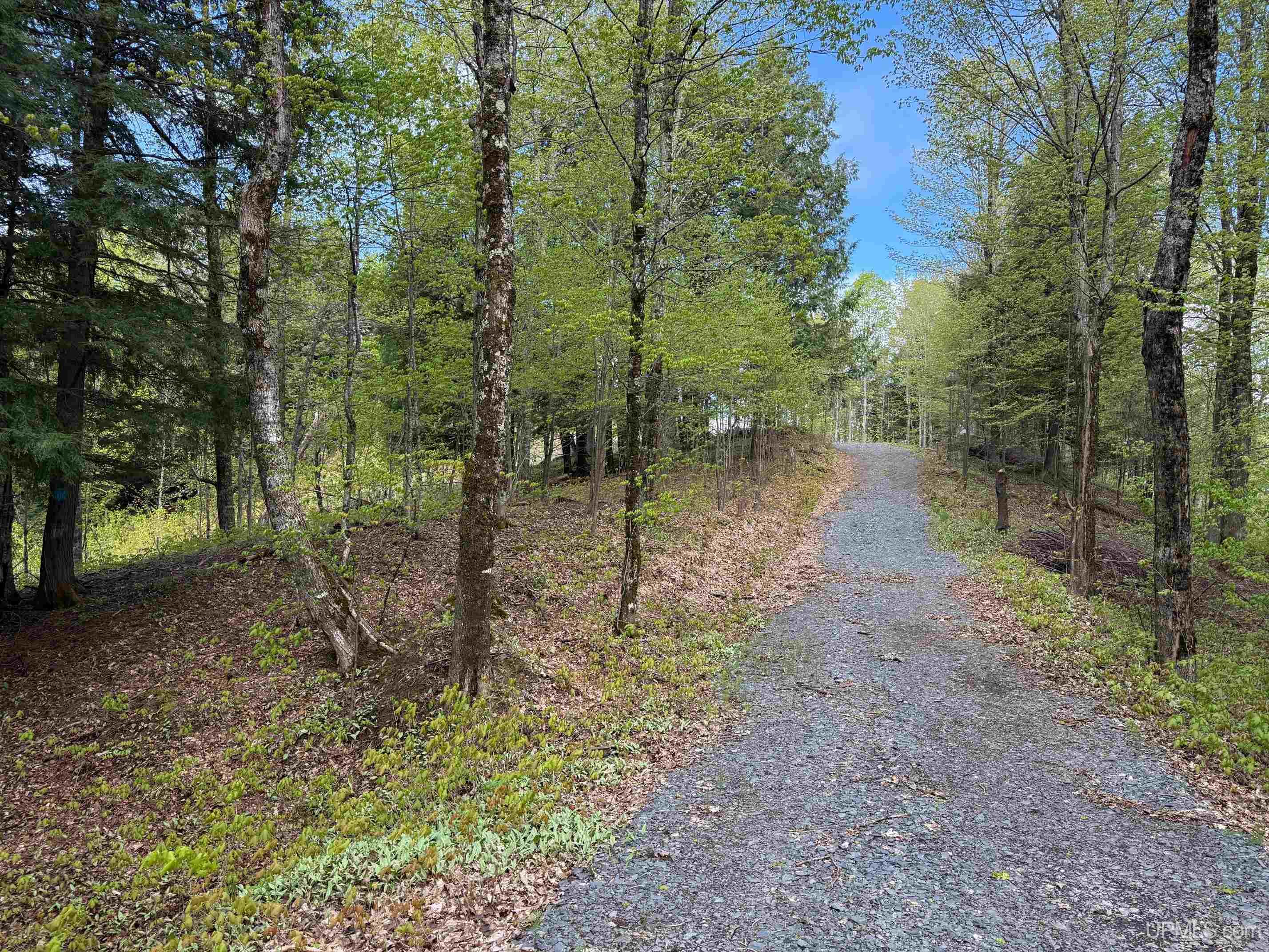 Tbd10 Baraga Plains Road Lanse, MI 49946 - Photo 9 of 19