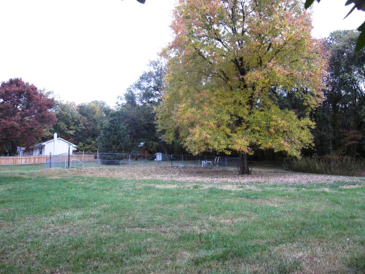 2308 East Ruritan Road Roanoke, VA 24012 - Photo 11 of 15 Yard