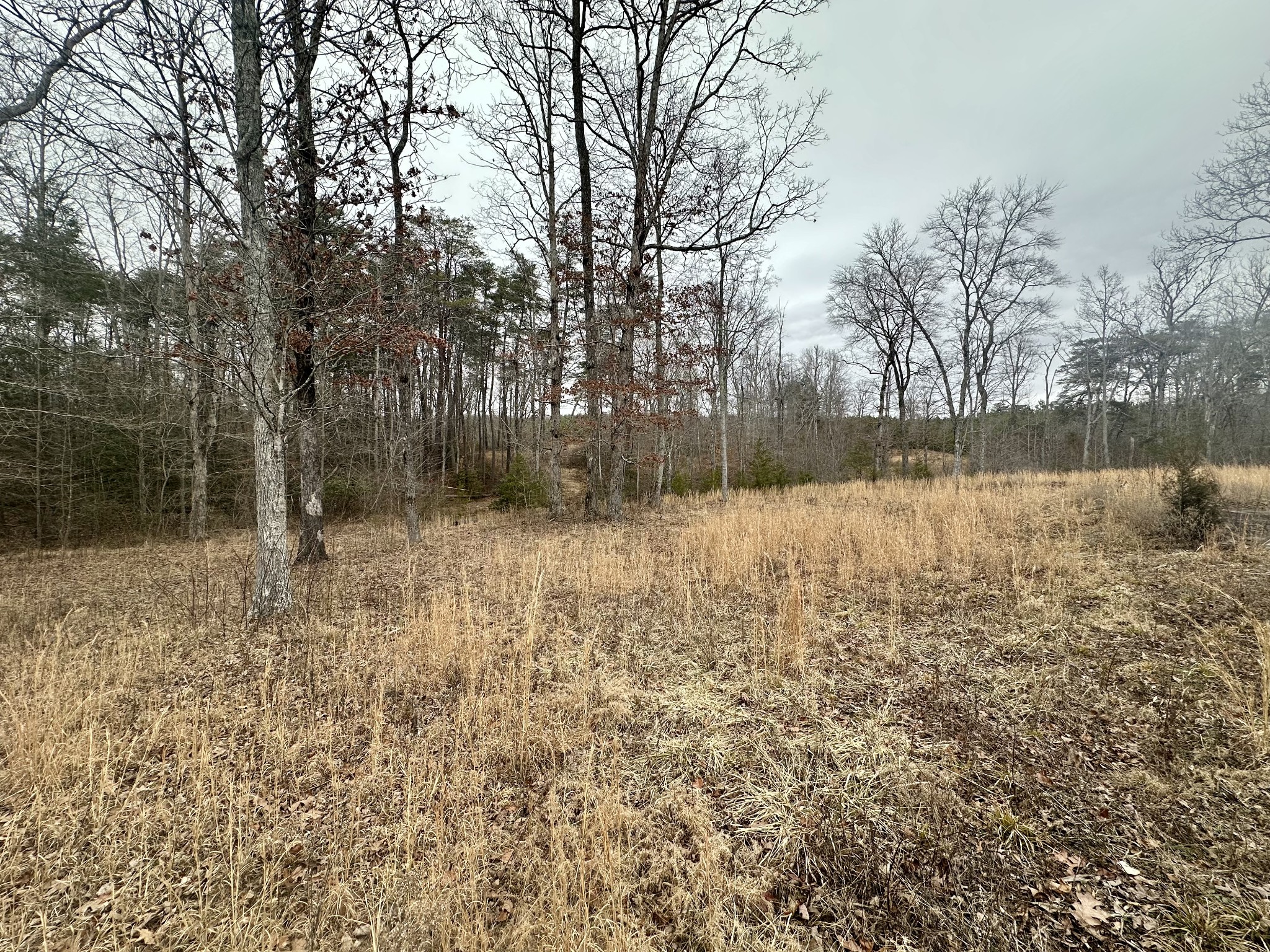 1995 Pryor Ridge Road Tracy City, TN 37387 - Photo 54 of 58 Gallery Image 54