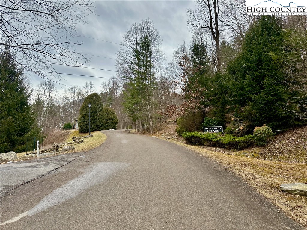 Mantera Ridge Sugar Grove, NC 28679 - Photo 11 of 16 a view of a street with a houses