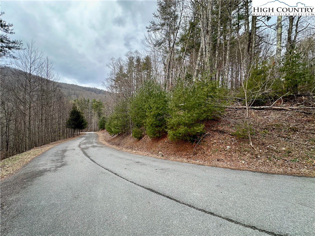 Mantera Ridge Sugar Grove, NC 28679 - Photo 13 of 16 a view of a street view
