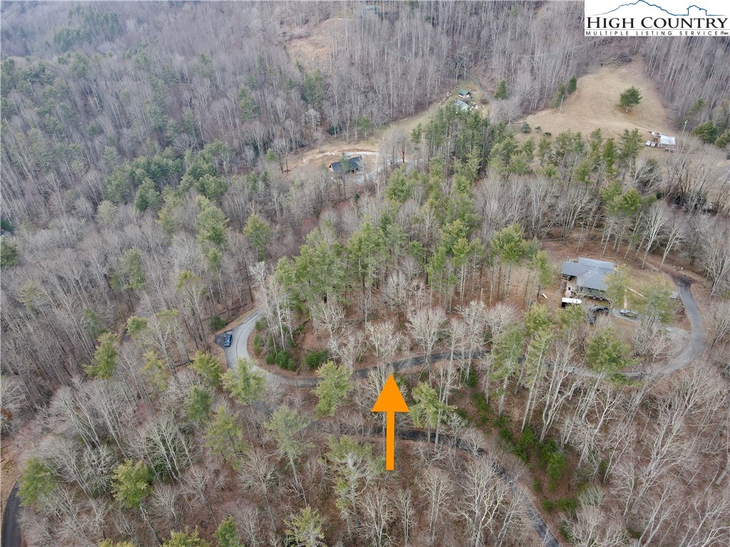 Mantera Ridge Sugar Grove, NC 28679 - Photo 14 of 16 a view of a forest with a tree