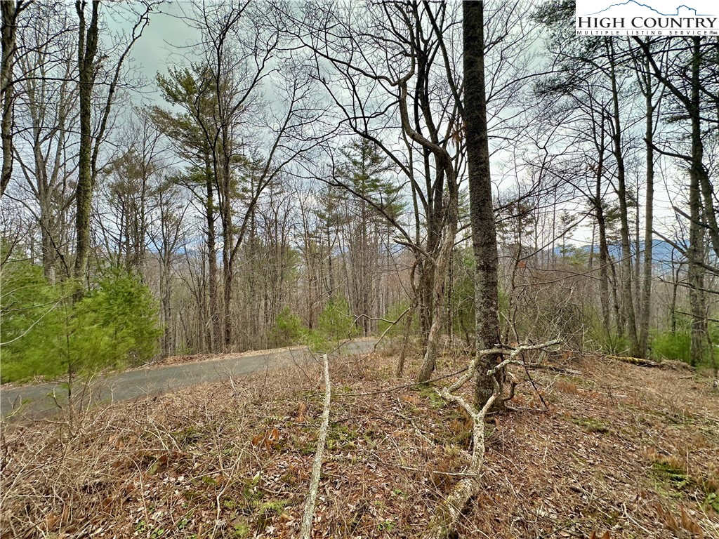 Mantera Ridge Sugar Grove, NC 28679 - Photo 5 of 16 a backyard of a house with lots of green space