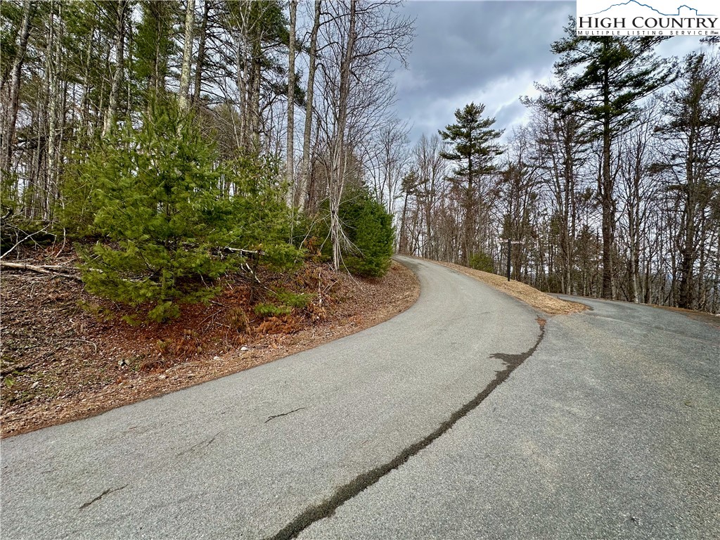 Mantera Ridge Sugar Grove, NC 28679 - Photo 8 of 16 a view of a road with a trees