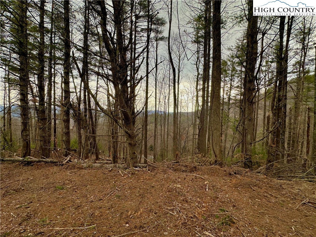 Mantera Ridge Sugar Grove, NC 28679 - Photo 10 of 16 a view of outdoor space with stainless steel appliances
