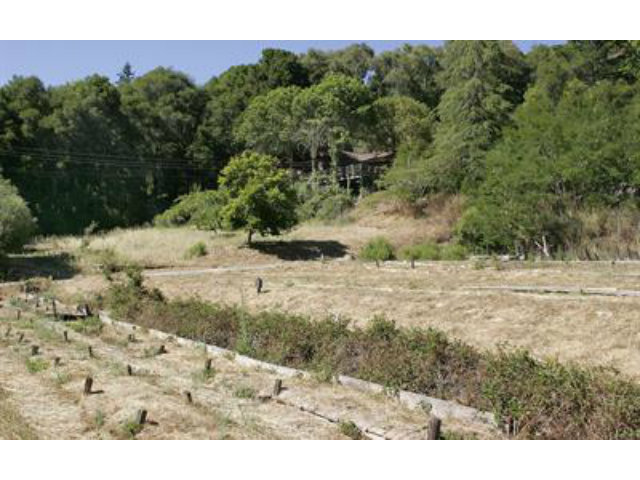 590 Olson Road Soquel, CA 95073 - Photo 5 of 11 Gallery Image 5