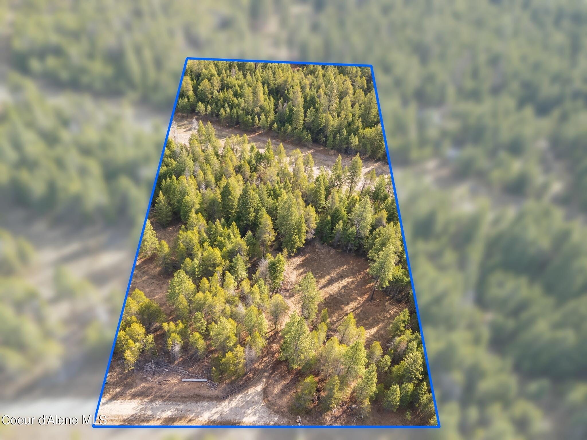 Pine Meadow Athol, ID 83801 - Photo 1 of 11 property-highlight-blue-blur