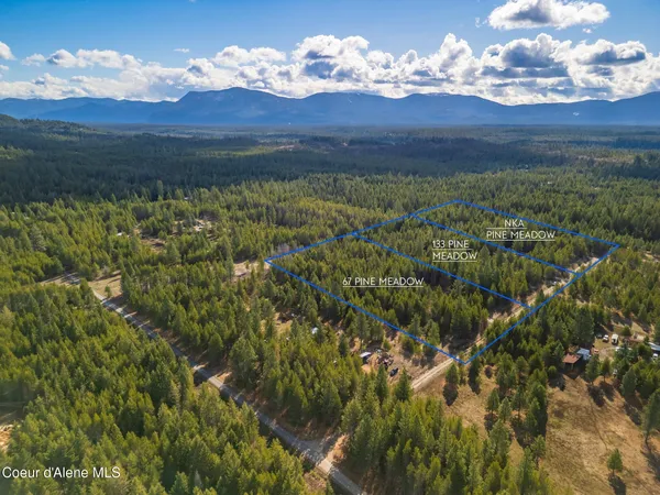 $335,000 | Pine Meadow, Athol, ID 83801