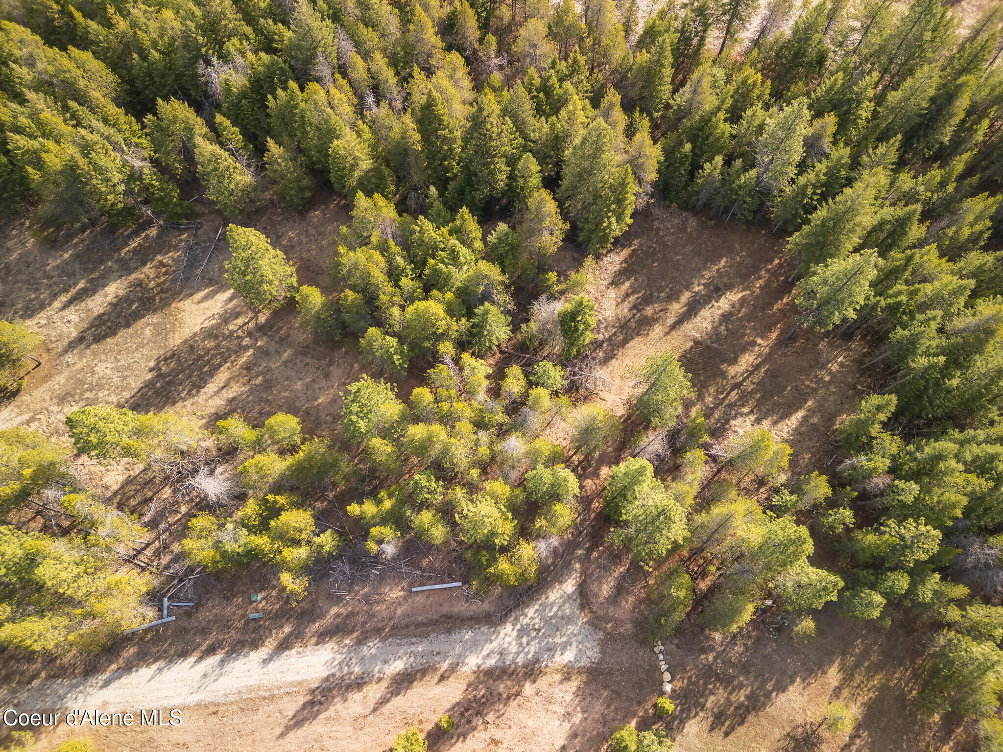 Pine Meadow Athol, ID 83801 - Photo 6 of 11 DJI_0188-HDR