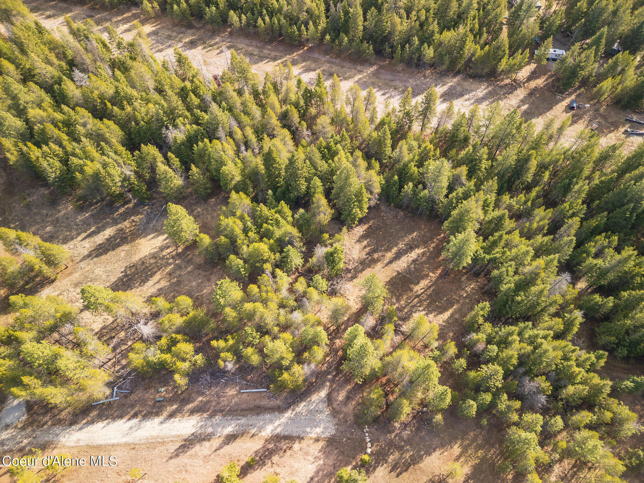 Pine Meadow Athol, ID 83801 - Photo 7 of 11 DJI_0198-HDR